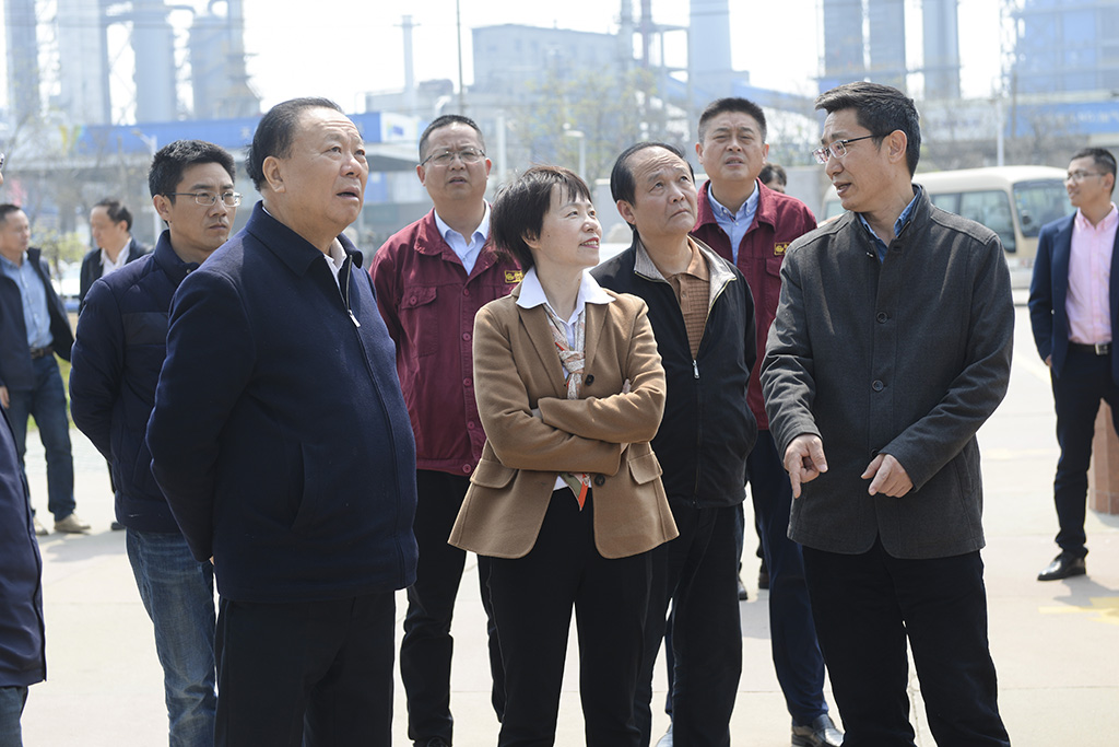 集團(tuán)董事局主席沈文榮來(lái)淮鋼調(diào)研指導(dǎo)